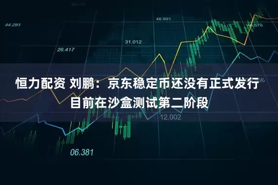 恒力配资 刘鹏：京东稳定币还没有正式发行 目前在沙盒测试第二阶段