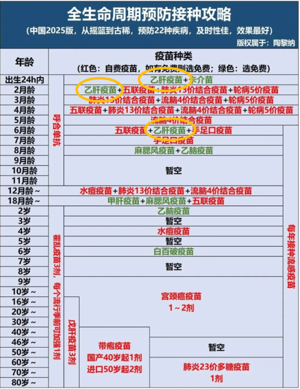 倍悦网配资 生物疫苗：B乙肝疫苗，人生第一苗（节选自2025版预防接种攻略）