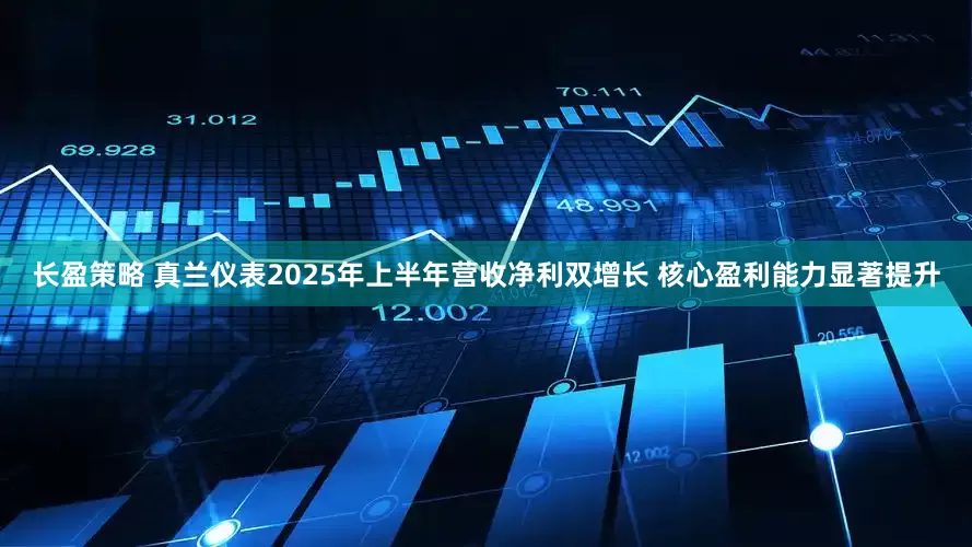 长盈策略 真兰仪表2025年上半年营收净利双增长 核心盈利能力显著提升