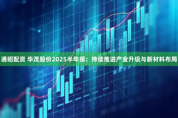 通昭配资 华茂股份2025半年报：持续推进产业升级与新材料布局
