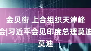 金贝街 上合组织天津峰会|习近平会见印度总理莫迪