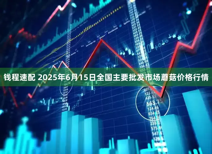 钱程速配 2025年6月15日全国主要批发市场蘑菇价格行情